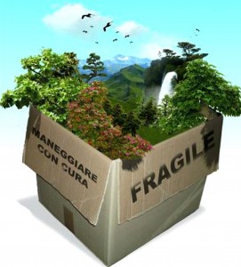 ambiente_fragile2