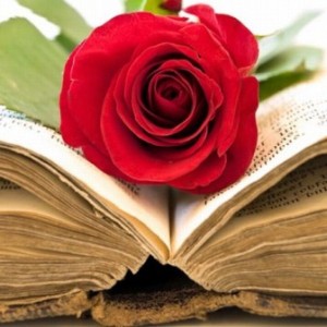 libro con rosa